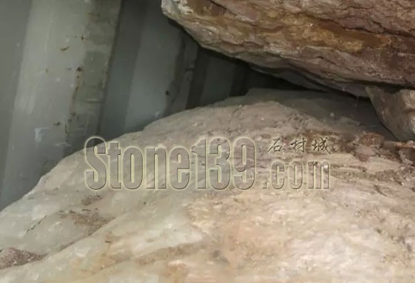 云浮口岸截獲巴基斯坦進(jìn)口淺青玉荒料中的熱帶火蟻