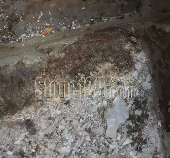 云浮口岸截獲巴基斯坦進(jìn)口淺青玉荒料中的熱帶火蟻