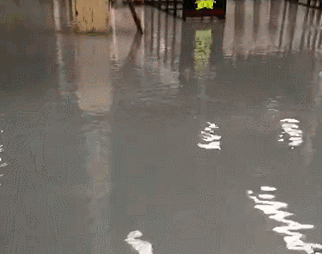 福建水頭石材市場拒絕水逆，石材人要遇水則發(fā)……