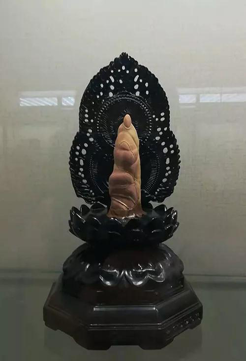 安徽首屆奇石文化交流博覽會(huì)開幕，熱乎乎的金獎(jiǎng)都在這里了！