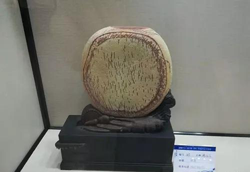 安徽首屆奇石文化交流博覽會(huì)開幕，熱乎乎的金獎(jiǎng)都在這里了！