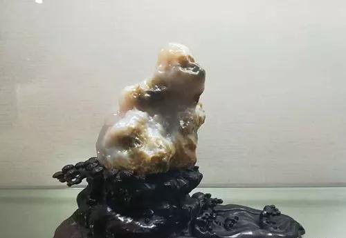 安徽首屆奇石文化交流博覽會(huì)開幕，熱乎乎的金獎(jiǎng)都在這里了！