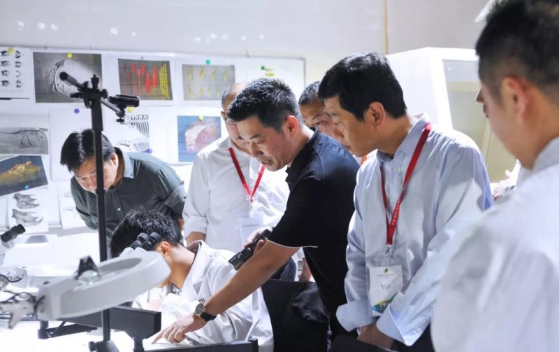 麻城市委副書記、市長蔡緒安蒞臨第十九屆中國（南安）水頭國際石材博覽會
