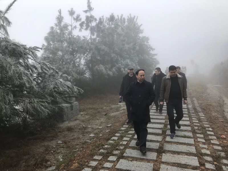 蔓延全國(guó)的富強(qiáng)石材礦山“綠色發(fā)展理念”是怎么做的？