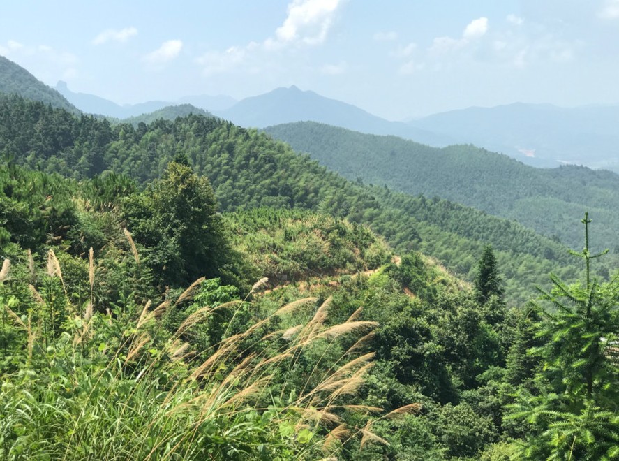 富強(qiáng)石材董事長彭宜斌：“綠色礦山——可持續(xù)發(fā)展勢在必行”演講紀(jì)實(shí)
