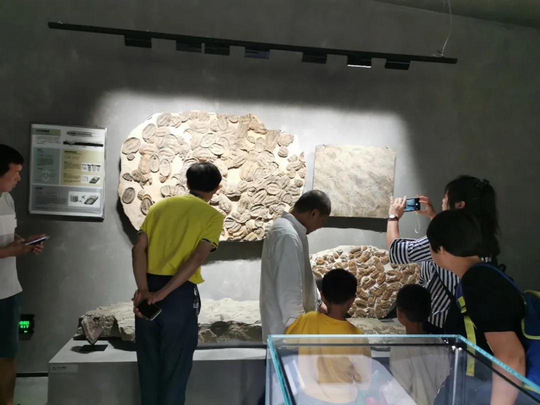 石材文化的分享者｜晉江、南安兩地作協(xié)主席與作家蒞臨水頭參觀指導(dǎo)
